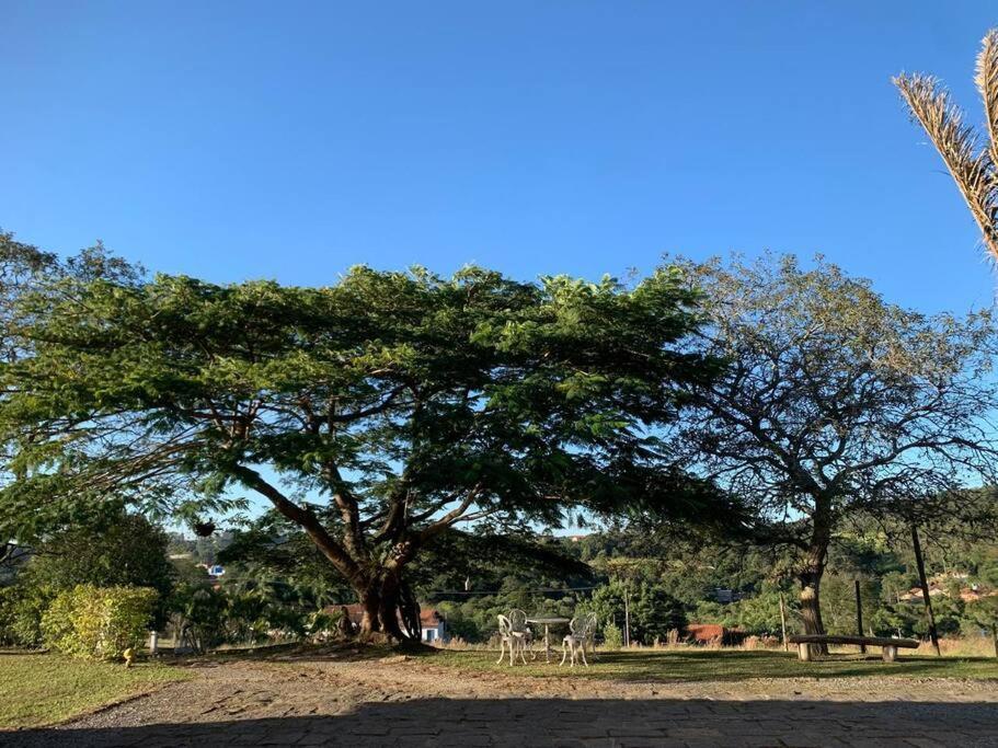 Quarto Dos Vinhos Villa Sao Roque  Bagian luar foto