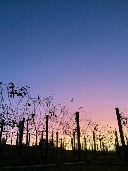 Quarto Dos Vinhos Sao Roque  Bagian luar foto